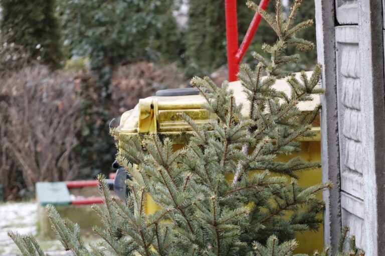 JAK POZBYĆ SIĘ CHOINKI PO ŚWIĘTACH? PORADNIK DLA KAŻDEGO