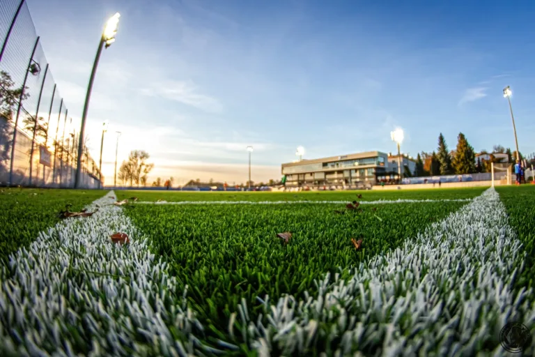 MIEJSKIE NAGRODY I WYRÓŻNIENIA ZA WYBITNE OSIĄGNIĘCIA SPORTOWE