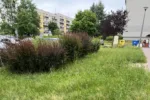 TYDZIEŃ Z PRACAMI ZIELENIARSKIMI W CZĘSTOCHOWIE