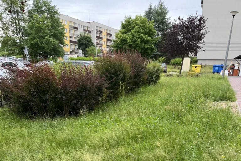 TYDZIEŃ Z PRACAMI ZIELENIARSKIMI W CZĘSTOCHOWIE