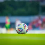NOWY STADION RAKOWA CORAZ BLIŻEJ? MIASTO REZERWUJE ŚRODKI NA TERENY „ELANEXU”