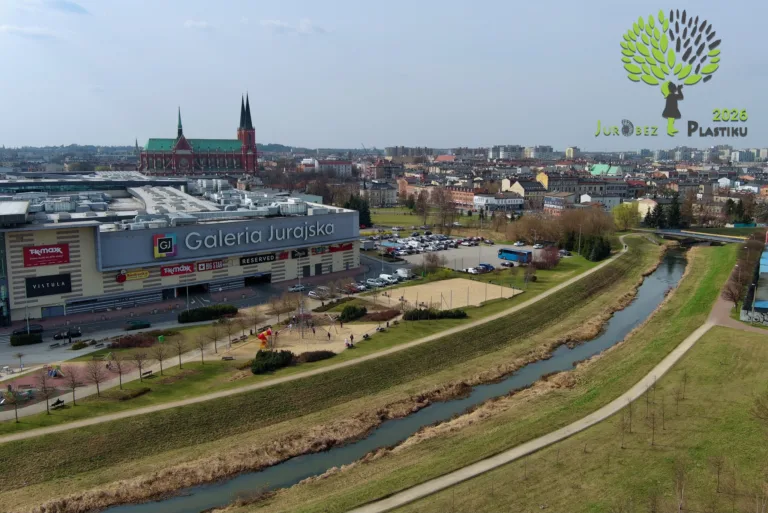 WIELKIE SPRZĄTANIE NAD WARTĄ