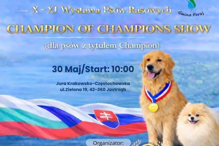 Kynologiczne święto w Jastrzębiu – tego nie można przegapić!