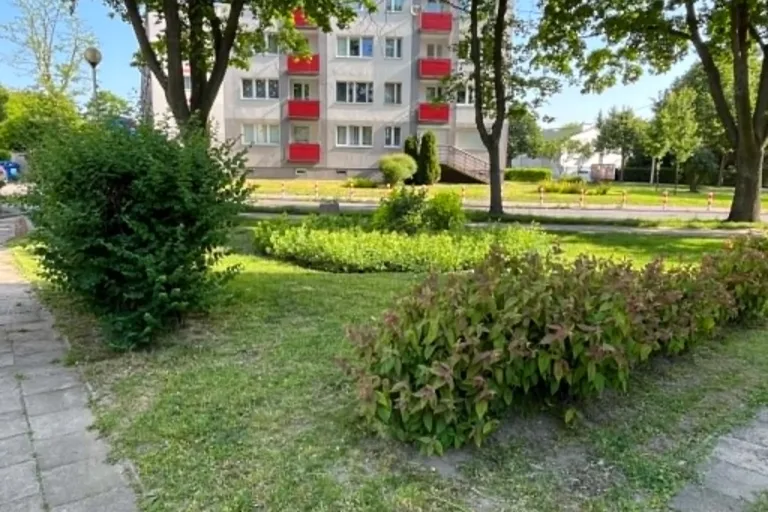 PRACE PORZĄDKOWE I PIELĘGNACYJNE W CAŁYM MIEŚCIE