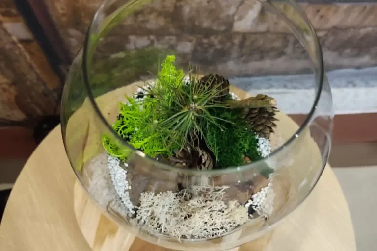 „Las w szkle – zielona moda, która ożywia wnętrza i zamyka naturę w miniaturowym świecie”
