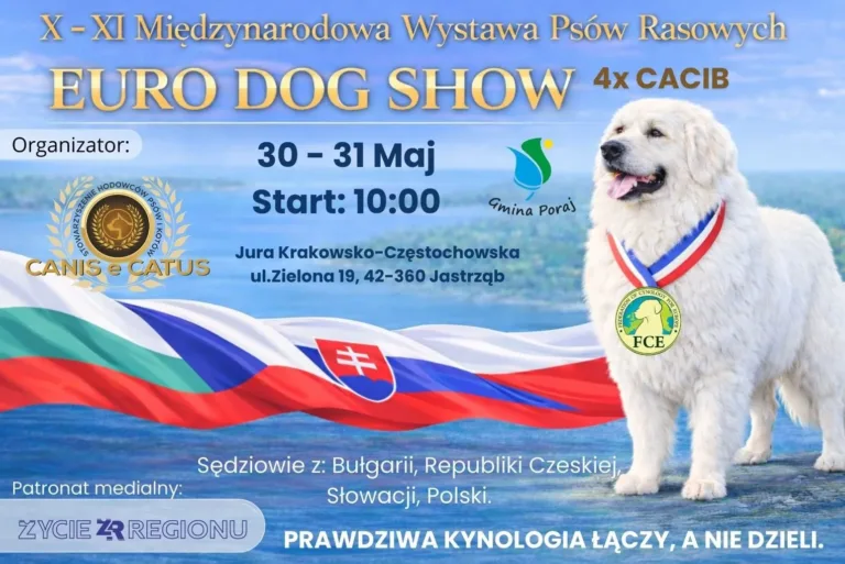 PSY, PASJA I MAJOWY KLIMAT NAD ZALEWEM