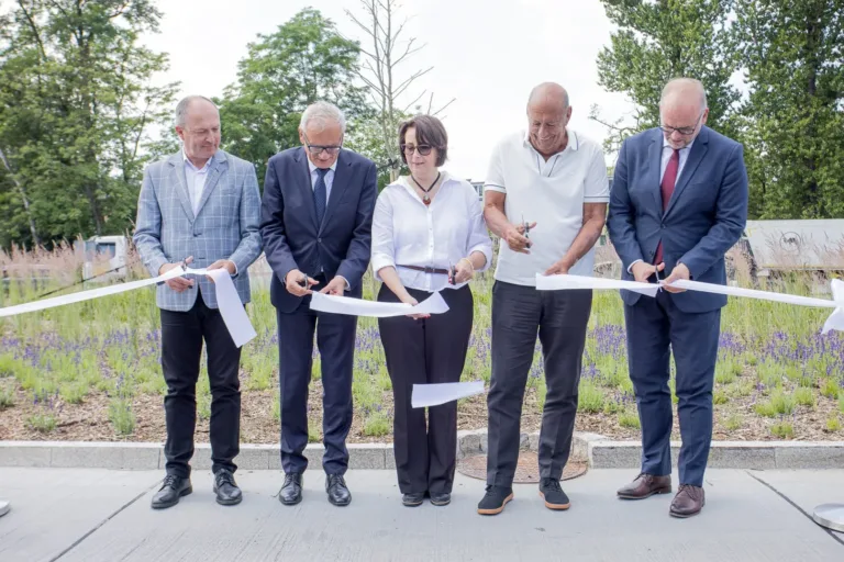 CZĘSTOCHOWA ODDAŁA HOŁD ZYGMUNTOWI ROLATOWI