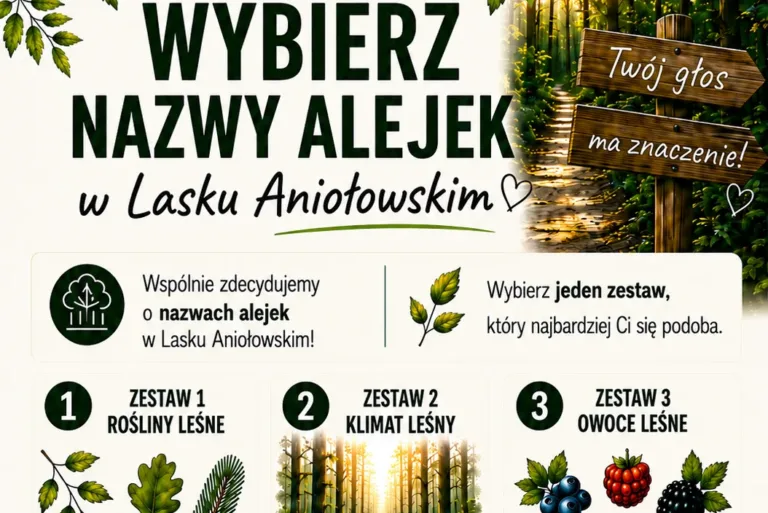ZAGŁOSUJ I POMÓŻ NAZWAĆ ALEJKI W LASKU ANIOŁOWSKIM