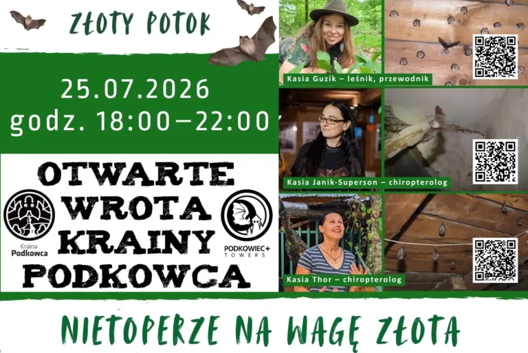 OTWÓRZ DRZWI DO KRAINY NIETOPERZY. NA JURZE RUSZYŁA WYJĄTKOWA AKCJA