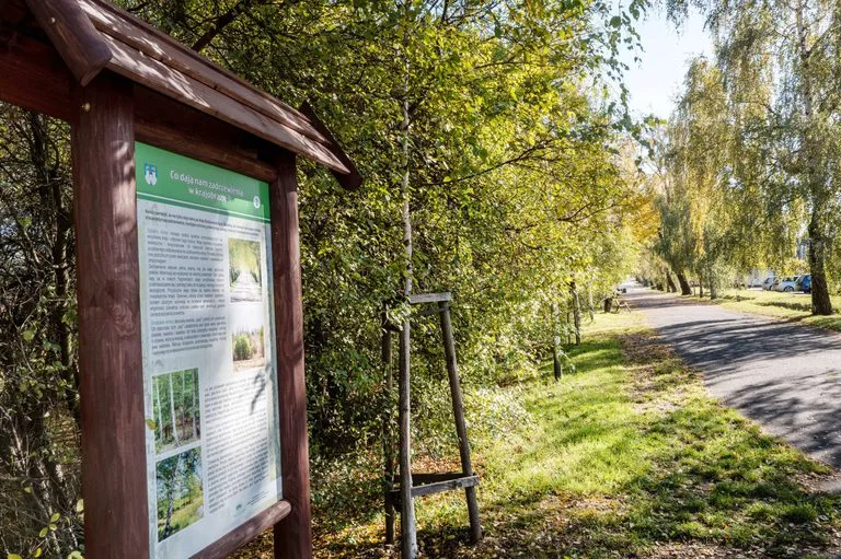 ALEJA BRZOZOWA Z NOWYMI TABLICAMI. SPACEROWICZE DOWIEDZĄ SIĘ WIĘCEJ